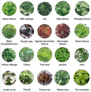 Home Use Vegetable Fruit Flower Hydroponic System Irrigation&hydroponics Equipment - Product Image 2