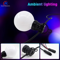 Guirlande lumineuse LED RGB TTL 80 mm pour la décoration des parcs et des centres commerciaux, tube artistique ciel étoilé, éclairage d'ambiance pour fêtes