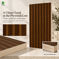 Contreplaqué plaqué noyer brun Jinbase W-XM-413, qualité E0, 1220x2440mm, feuilles de placage chêne, placage noyer