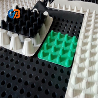 Planche de drainage en HDPE avec membrane ondulée, adaptée aux barrages et aux jardins, pour une utilisation en extérieur, avec une garantie de 5 ans