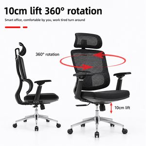 Chaise de bureau ergonomique en maille au design moderne avec soutien lombaire réglable, dossier ouvert et vérin à gaz de classe 4 - Product Image 3