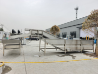 Continue fruit- en groenteverwerkingslijn na de oogst: week-, was-, sorteer- en luchtdroogmachine voor groentefabrieken
