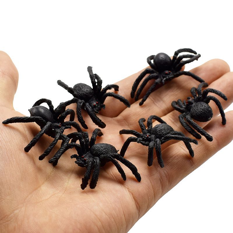 Black spider