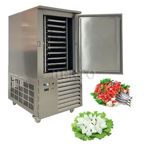 Stable Working Blast Freezer For Dumplings / Quick Freezing Machine Blast Freezer / Fruit Blast Freezer Equipment