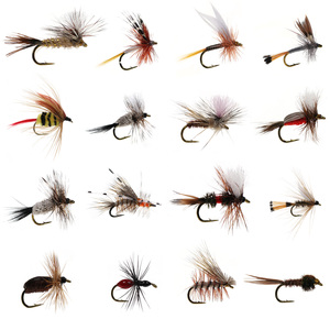 Señuelos de Pesca de Agua Dulce, Mosca Seca Flotante, Escarabajos de Espuma, Estimulador de Moscas, Paracaídas para Trucha, Caddis, Royal Wulff, Mayfly, <span class=keywords><strong>Cahill</strong></span> - Product Image 1