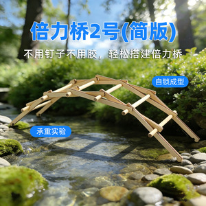 Kit de puente científico DIY, juguete educativo de madera para niños de 7 a 9 años, modelo de aprendizaje de mecánica, conjunto de construcción. - Product Image 5