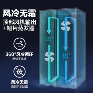 Réfrigérateur vertical commercial à porte simple Odaxin, 220V, thermostat mécanique, dégivrage automatique, étagères réglables - Product Image 4