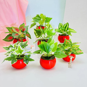 Plante verte artificielle en pot, mini ornement, pot de fleurs hydroponique, décoration de bureau, décoration festive, décoration de Noël - Product Image 2
