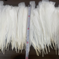 Plumes de dinde naturelles blanches Yolan en gros, 8-10 pouces, en vrac pour accessoires de vêtements décoratifs de festival, MOQ 50 pièces