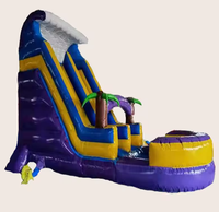 Castillo Inflable de PVC de 4x6 Metros, Personalizable, de Fácil Instalación, con Tobogán, Capacidad para 25 Personas, para Exteriores, Distribución Directa de Fábrica