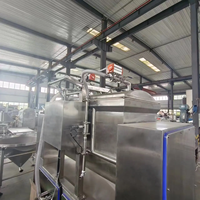 Ligne de production de biscuits avec mélangeur à pâte sous vide et machine à remuer la pâte automatique