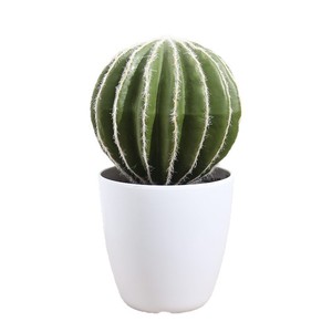 Artificial Cactus Potted Plants Multi Piece Package High Simulation Indoor Desktop Decorative Greenery - Product Image 4