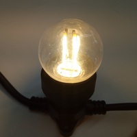 Ampoule à filament décorative E27 B22 24v 240v personnalisée 1.8W 2W G45 en plastique, ampoule à filament festoon