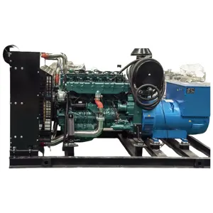 methane gas powered generator set China Manufactory 250kw 312.5KVA biogas CNG Power Genset Plant Natural Gas Generator