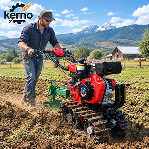 Cultivateur agricole à chenilles diesel à double chaîne pour pentes de 45 degrés, moteur 7-9 CV, largeur de travail 49 cm, transmission par courroie - Product Image 1