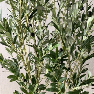 Le 2024 Top Vente de Haute Qualité <span class=keywords><strong>Oliver</strong></span> Tree En Gros Artificiel Voyageur Arbre pour la Décoration Intérieure De 60cm à 240cm - Product Image 2