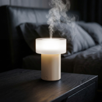 Fabricant OEM de diffuseurs d'arômes électriques, logo personnalisé, diffuseur ultrasonique d'huiles essentielles 100 ml, lumière nocturne, marque privée, vente en gros