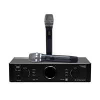 DEKEN KA-300 II 300W Class-H Pro Karaoke Amfisi 3'ü 1 Arada Ev KTV Ekipmanı BT DSP Kablosuz Mikrofon Ev Alıcısı