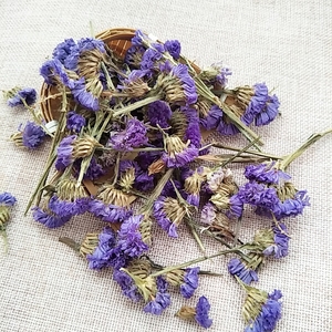 ชาดอกไม้แห้งขายดี ชาฟอร์เก็ตมีน็อต (Myosotis Sylvatica) - Product Image 2