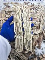 Calmar noir congelé en bandelettes, origine Chine, bon prix