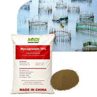 MIDI FEED Aliment aquatique granulaire Mycoprotéine 70% Protéines Acides aminés Additifs Certifié ISO-9001 Favorise une croissance saine