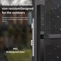 Cerradura de puerta delgada inteligente impermeable IP65 Tuya Wi-Fi con desbloqueo de doble huella dactilar/contraseña, adecuada para puerta corredera Villa Door