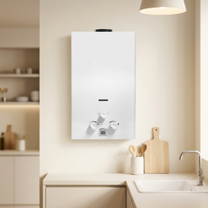 Calentador de Agua Instantáneo a Gas de 8L, Tipo Flue, sin Tanque, GLP/GN, para Uso Doméstico, Calefones de Agua a Gas - Product Image 1