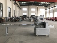 Machine d'emballage automatique multifonctionnelle avec servo photoélectrique et diagnostic des défauts pour les aliments solides.