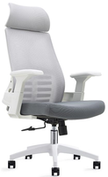Chaise de bureau ergonomique à dossier haut en maille avec fonctions réglables pour le bureau à domicile, design moderne