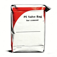 Werks lieferant Block boden PE PP gewebter Ventil beutel zum Verpacken von PVC-Pasten harz Acryl harz beutel