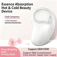 Appareil de soin du visage, équipement de beauté, masseur pour le soin de la peau, outil de beauté exfoliant pour usage domestique