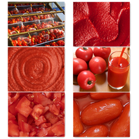 Automatische Tomatenpuree Machine Vruchtensap Verwerkingslijn Tomatensaus Productielijn