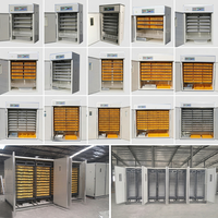 Incubateur automatique Agricon pour poulets, canards et autruches, taux d'éclosion de 98 %, retournement des œufs multifonctionnel, acier inoxydable, plastique, neuf