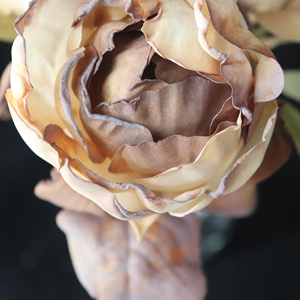 ช่อดอกไม้แห้ง จัดแต่งด้วยหญ้าแพมพัสธรรมชาติ ดอกป๊อปปี้สีขาวน้ำตาล <span class=keywords><strong>ดอกไม้</strong></span>หางสุนัข ดอกยูคาลิปตัส ใบกุหลาบ ใบไม้ประดิษฐ์ - Product Image 3