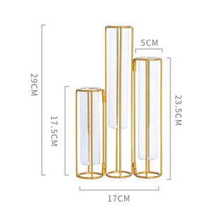 Soportes Metálicos para Flores, Macetas Hidropónicas con Tubos Transparentes, Decoración para Interiores, Venta Caliente - Product Image 2