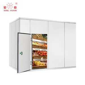 prefab chicken meat price cold room 30m3 storage potatoes negative price cold storage for fruits and vegetables businessle