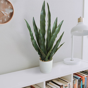<span class=keywords><strong>Planta</strong></span> Artificial Bossion Nearly Natural, <span class=keywords><strong>Planta</strong></span> Falsa con <span class=keywords><strong>Maceta</strong></span>, Sansevieria, <span class=keywords><strong>Planta</strong></span> Serpiente Artificial - Product Image 4