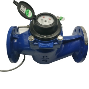 DN50 Gang Từ Xa Dọc Số Lượng Lớn Đồng Hồ Nước Khô Loại Với IP68 Bảo Vệ OEM Tùy Chỉnh Trả Tiền Đồng Hồ Nước Giá - Product Image 2
