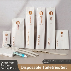Kit d'articles de toilette jetables haut de gamme pour hôtels cinq étoiles et gîtes de luxe – Ensemble 8 pièces pour salle de bain (brosse à dents, dentifrice inclus) - Product Image 2