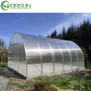 8X12 الصين البيوت الخضراء البلاستيكو الفقرة إنفرناديروس-الصناعية تونيل مستعمل الدفيئة الزراعية نفق للبيع - Product Image 2