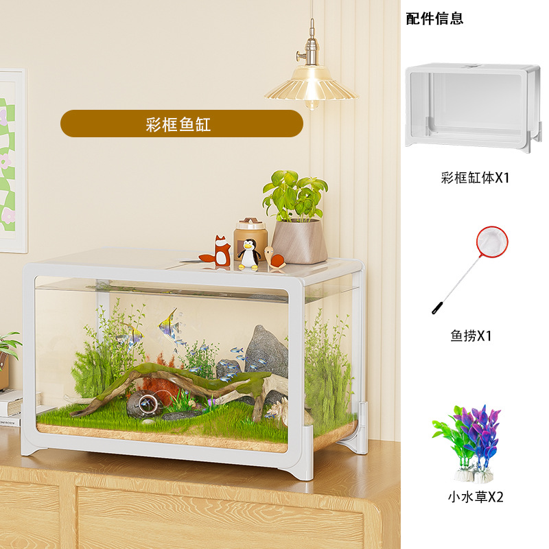 Acquario nudo con cornice e coperchio colorati, 2 piante acquatiche