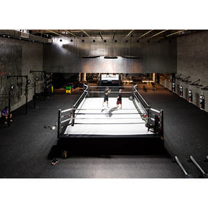 Mesure de précision 600 ㎡ Ailes de boxe personnalisées de la liberté - Product Image 6