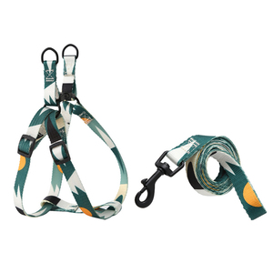 Correa de perro de nailon Arnés de moda colorido para perros pequeños y medianos Gancho de metal Cinta para gatos Juego de correa para mascotas - Product Image 6