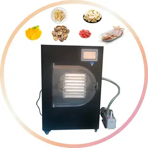 2024 China Drying Equipment Freeze Dryer For Freeze Drying Food Laboratory Biomedical Samples