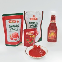 Ketchup aux tomates de même qualité OEM 340g/5L Sauce tomate