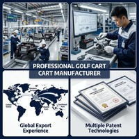Voiturette de golf électrique Tarion 2 places, 35 km/h, autonomie 80-100 km, pneus tout-terrain 14 pouces, 60V, certifiée CE, OEM ODM, buggy de golf personnalisé
