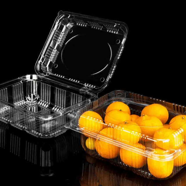 Boîtes en plastique alimentaire de haute qualité boîte de présentation transparente personnalisée emballage de cas vente chaude en acier inoxydable étanche