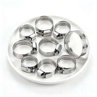 Collier de serrage à vis sans fin en acier inoxydable, taille réglable 9mm-12mm, pour tuyaux et conduites polyvalents