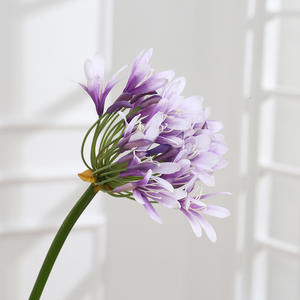 Tallo de Flor de Lirio del Nilo Artificial, Tallo Largo de Agapanthus, Decoración para el Hogar, Flor Artificial Realista de Agapanthus para Manualidades <span class=keywords><strong>y</strong></span> Bodas - Product Image 4