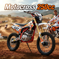 Motorcross Dirt Bike 250cc DB-117 Mesin Berpendingin Udara Bensin Motor Enduro Balap Dewasa >80km/jam Cina